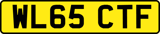 WL65CTF