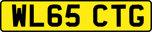 WL65CTG