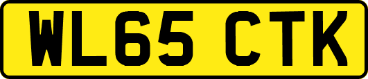 WL65CTK