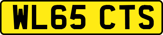 WL65CTS