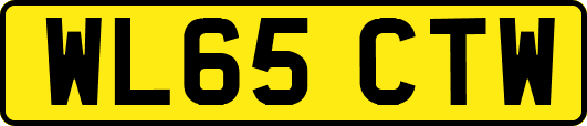 WL65CTW