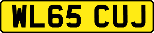 WL65CUJ