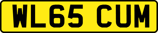 WL65CUM