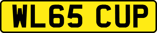 WL65CUP