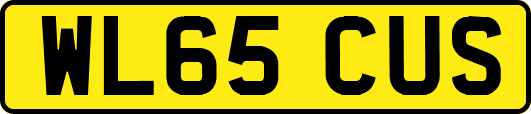 WL65CUS