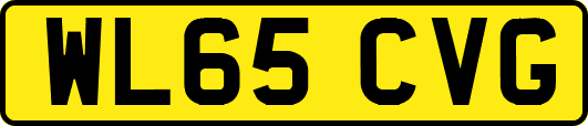 WL65CVG