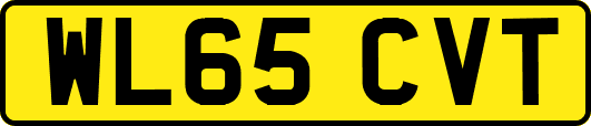 WL65CVT