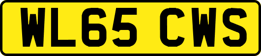 WL65CWS