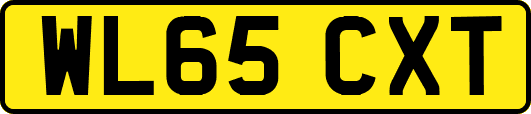 WL65CXT