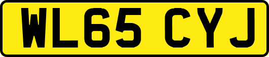 WL65CYJ