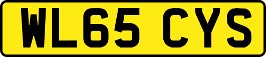 WL65CYS