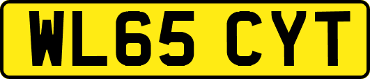WL65CYT