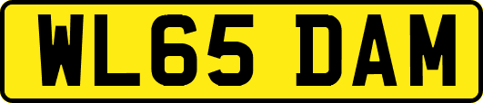 WL65DAM