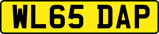 WL65DAP