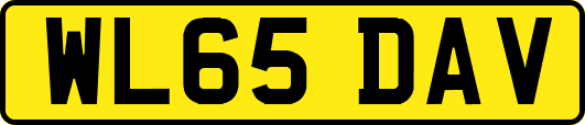 WL65DAV