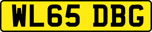 WL65DBG