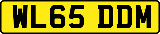 WL65DDM