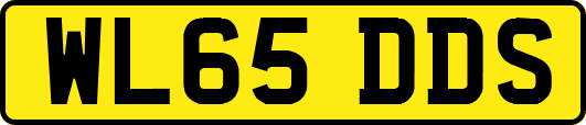 WL65DDS