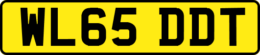 WL65DDT