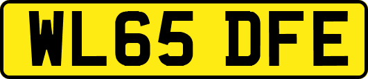 WL65DFE