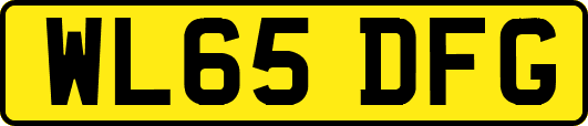 WL65DFG