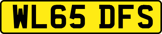 WL65DFS