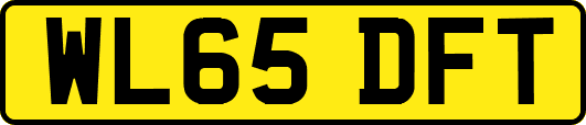 WL65DFT