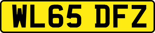 WL65DFZ