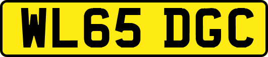 WL65DGC
