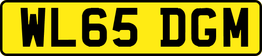 WL65DGM