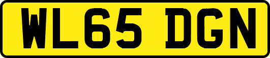 WL65DGN