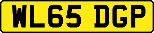 WL65DGP