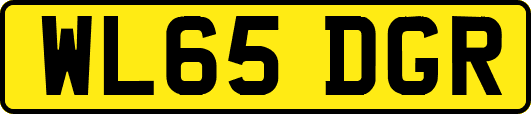 WL65DGR