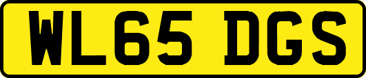 WL65DGS