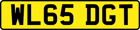 WL65DGT