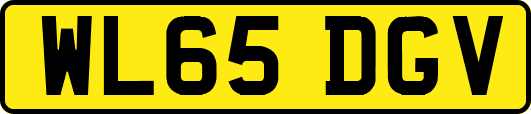 WL65DGV