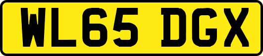 WL65DGX