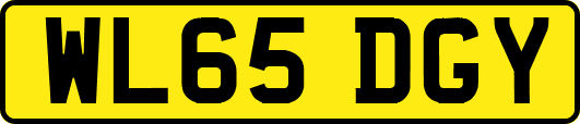 WL65DGY