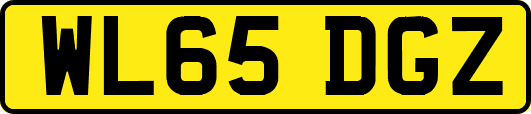 WL65DGZ
