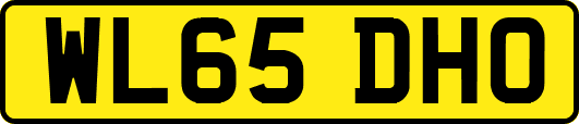 WL65DHO