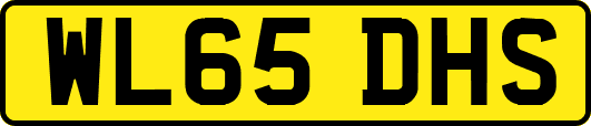 WL65DHS