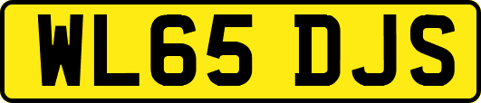 WL65DJS