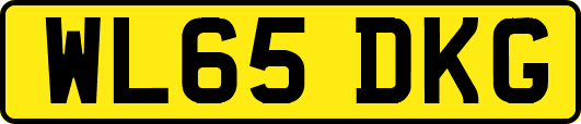 WL65DKG
