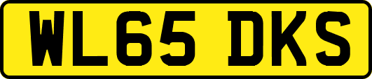 WL65DKS