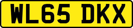 WL65DKX