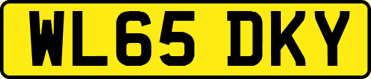 WL65DKY