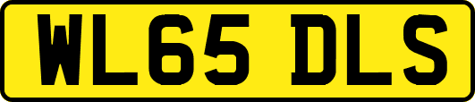 WL65DLS