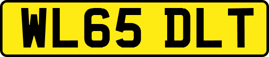 WL65DLT