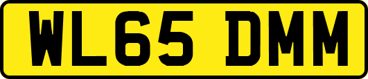 WL65DMM