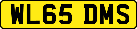 WL65DMS
